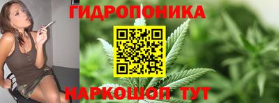 шишки Тверь