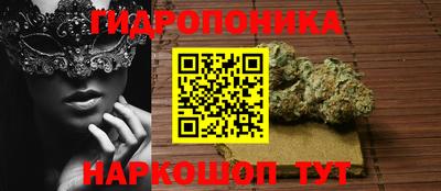 шишки Тверь