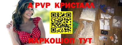 шишки Тверь