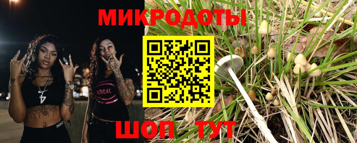 Псилоцибиновые грибы прущие грибы  Вход с VPN  где купить   Мурманск  Галлюциногенные грибы прущие грибы 